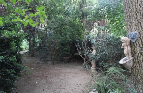 Colina House | Escape al bosque! - Casa Vintage
