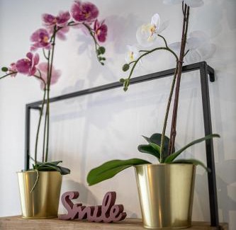 Gentilly Apartment | ESCAPE time - Paris