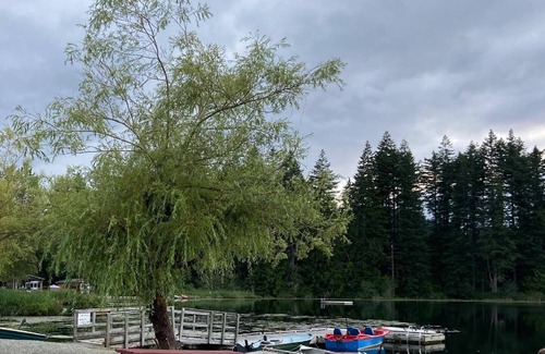 Lake Cowichan House | Escape to Lake Cowichan area in 2025!