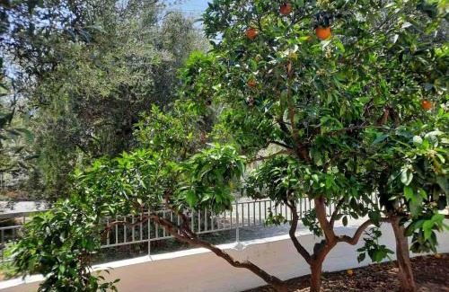 Leonidio House | Et In Arkadia Ego