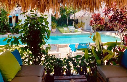 ProCab House | EverGreen Cabarete