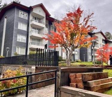 Pucon Apartment | Excelente y Cómodo Departamento Cercano al Centro de Pucón y Volcán Villarica