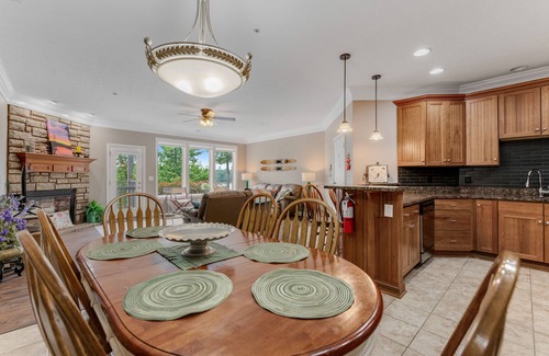 Andersonville Condo | Expansive dog-friendly condo w/free attraction tickets, lake views & dock access