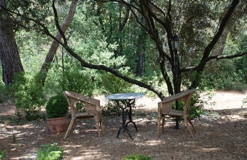 Carpentras Cottage | Explore Our Charming Holiday Home in the Heart of Provence