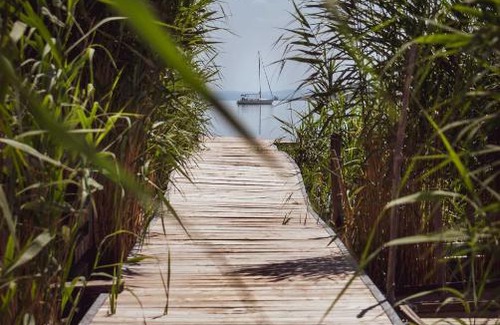 Balatonfuzfo Apartment | Fűzliget Ezüstnyár