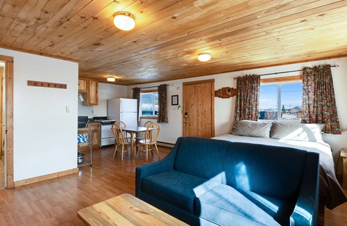 South Fork Cabin | "F" Fox Cabin: Private hot tub! “F”
