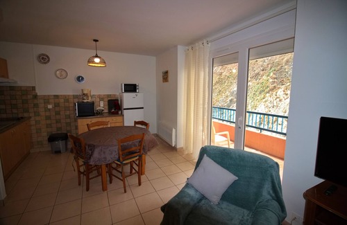 Arles-sur-Tech Apartment | F2 Amélie les Bains Pour Curistes ou à la Semaine