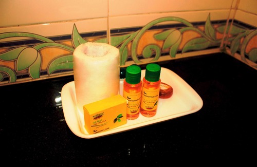 Ujjain Hotel | Fabexpress Anandam Palace Guest House