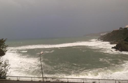 Banyuls-sur-Mer Apartment | Face à la mer Résidence Les Elmes