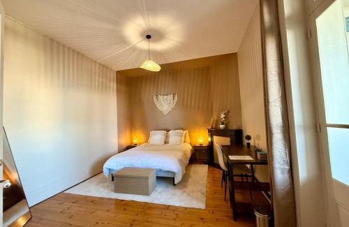 Roanne Apartment | Face gare - Appart Haussmannien