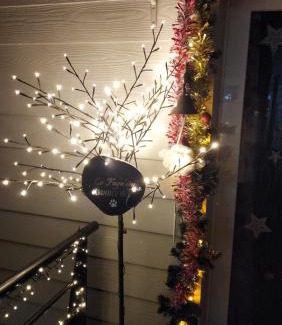 Walk Bed & Breakfast | Fagn'ity