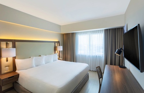Downtown Cabo San Lucas Hotel | Fairfield by Marriott Los Cabos