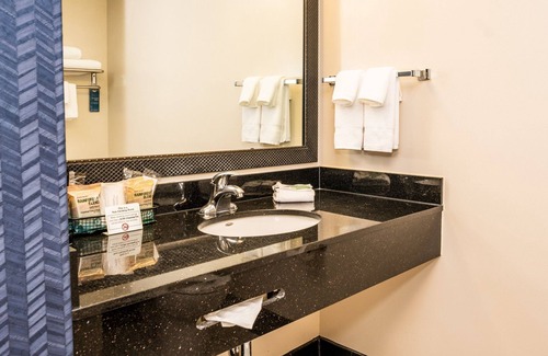 Downtown San Antonio Hotel | Fairfield Inn & Suites by Marriott San Antonio Alamo Plaza/Convention Center