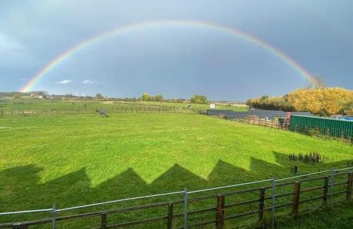 Kilnwick Apartment | Falabella Suite with amazing views of stud farm.