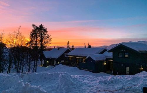 Rauland House | Family Cabin With Ski In-Out In Rauland