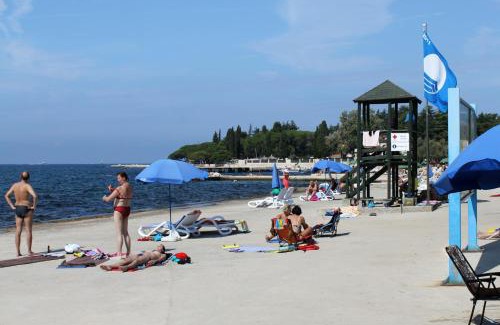 Kircija House | Family friendly house with a swimming pool Frankovici, Central Istria - Sredisnja Istra - 16569