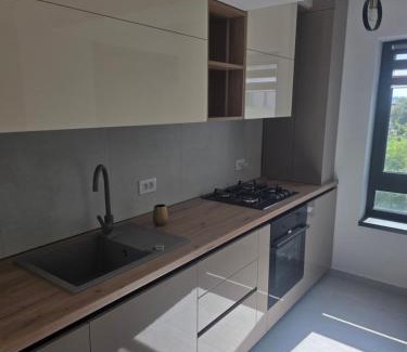 Iasi Apartment | Family Home 2 Centru Palas Mall