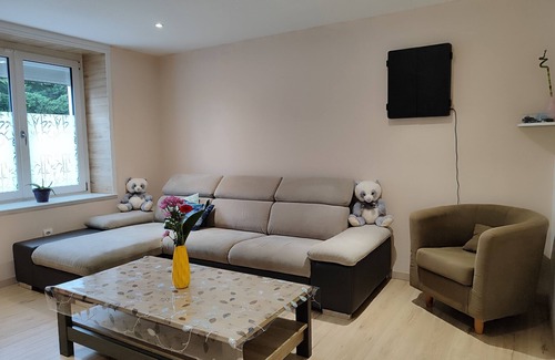 Lorquin House | Family home in the Pays des Etangs 6 to 8 sleeps 10 min Center Parcs