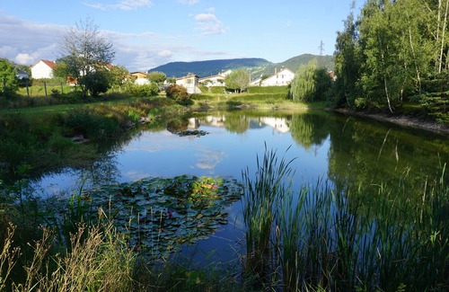 Vagney House | Family home with large grounds and private fishing pond