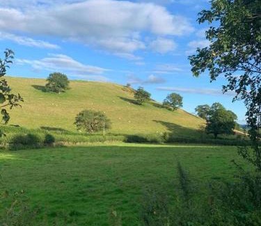 Llanfyllin Apartment | Family time in the Welsh hills!