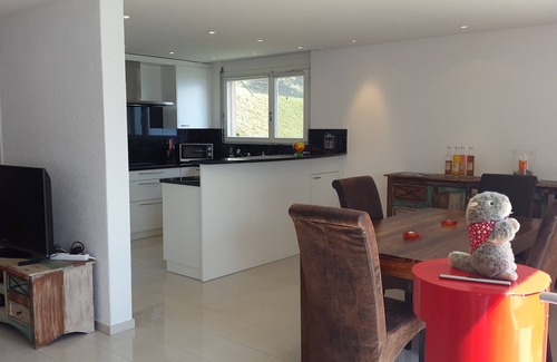Weggis Apartment | Fantastic mountain and lake view