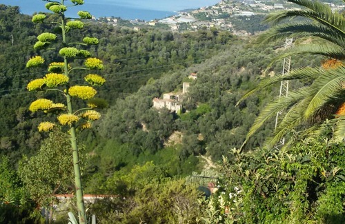 San Giacomo House | Fantastic sea view of Monte Carlo and the French Riviera