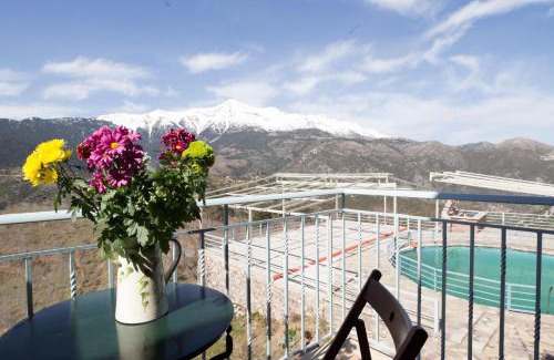 Laconia Region Hotel | Faris Hotel