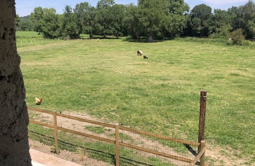 Dissay-sous-Courcillon House | Farm cottage with fireplace on the banks of the river Loir