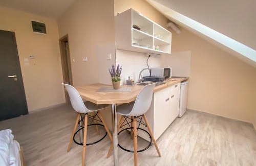 Szeged Apartment | Fasor Vendégház