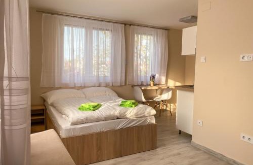 Szeged Apartment | Fasor Vendégház