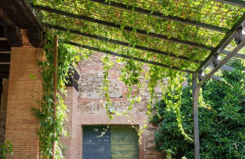Pian di Rocca Bed & Breakfast | Fattoria Pian Di Rocca