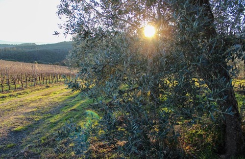 San Gimignano Apartment | Fattoria La Torre