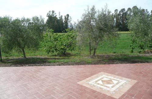 Grosseto House | Fattoria San Vincenzo