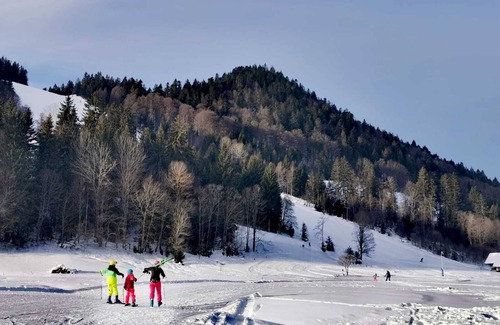 Menzenschwand-Hinterdorf Apartment | Feel-good apartment TANNE