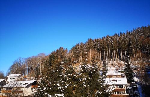 Baiersbronn Apartment | Ferien am Wald
