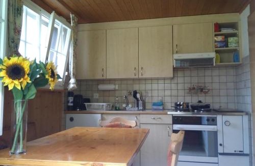Stechelberg House | Ferien Cottage Flüehblüemli