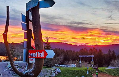 Steinbach-Hallenberg Apartment | Ferienhaus Am Kirchberg