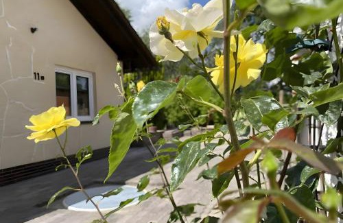 Friedrichsbruck House | Ferienhaus am Wald