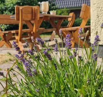 Hintersee House | Ferienhaus am Haff