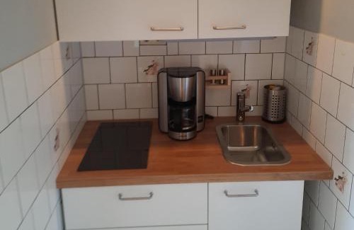 Mecklenburgische Kleinseenplatte House | Ferienhaus am Oase am Vilzsee, cleaning included