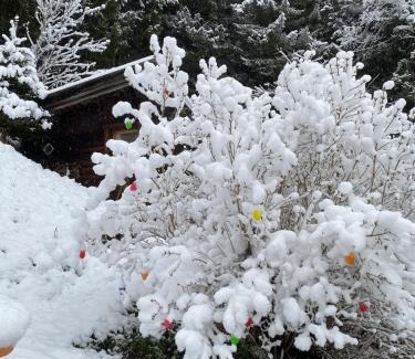 Neustift Im Stubaital Apartment | Ferienhaus Klenkes - entschleunigen und erholen