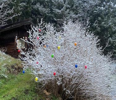 Neustift Im Stubaital Apartment | Ferienhaus Klenkes - entschleunigen und erholen