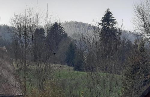 Hinterzarten House | Ferienhaus Ketterer Hinterzarten