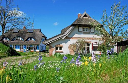 Sellin House | Ferienhaus unterm Reetdach