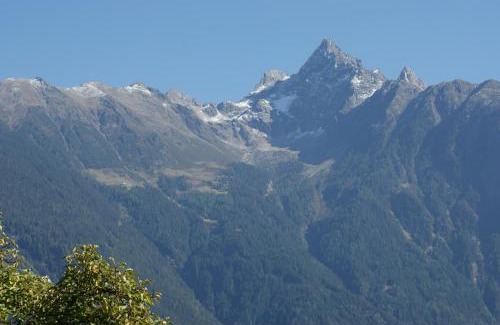 Sautens House | Ferienhaus Waldesruh