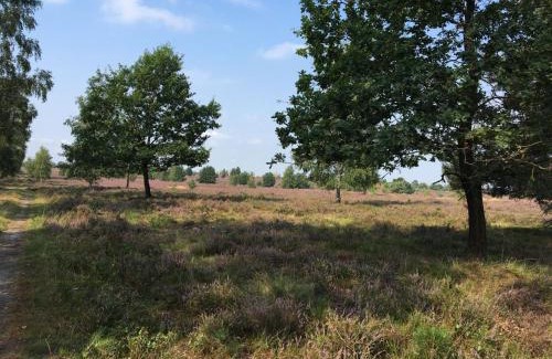 Soltau Apartment | Ferienhof Timmerloher Heide