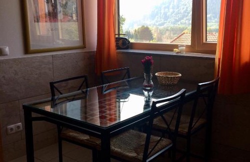 Steindorf am Ossiacher See Apartment | Ferienwohnung Frieser