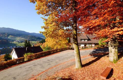 Bad Peterstal-Griesbach Apartment | Ferienwohnung Fürstenkopf