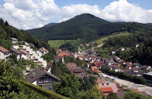 Bad Peterstal-Griesbach Apartment | Ferienwohnung Fürstenkopf