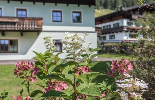 Sankt Martin bei Lofer Apartment | Ferienwohnung Spielberg